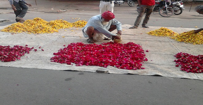 प्रभु लाल, ग्राम पुगलिया