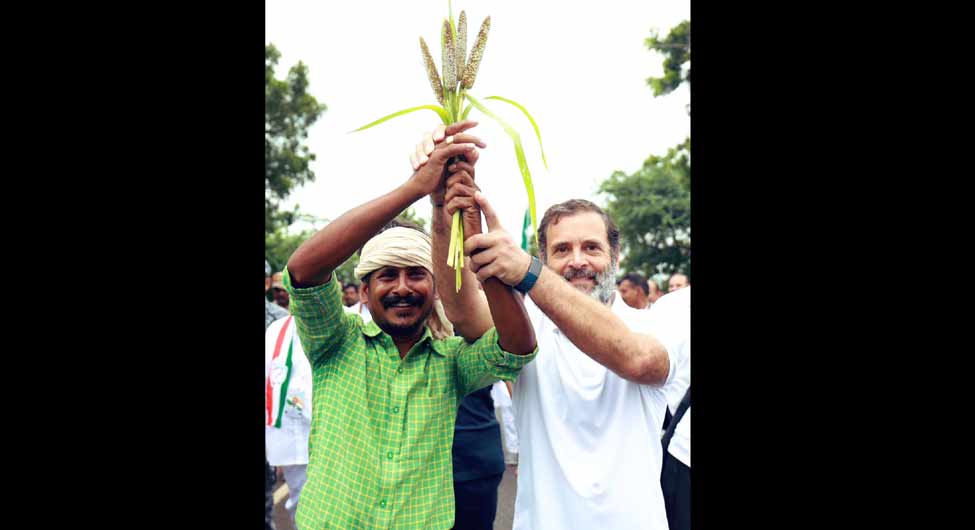 राहुल गांधी की भारत जोड़ो पदयात्रा